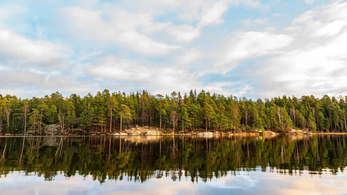 Experter på FTX-installation i Haninge