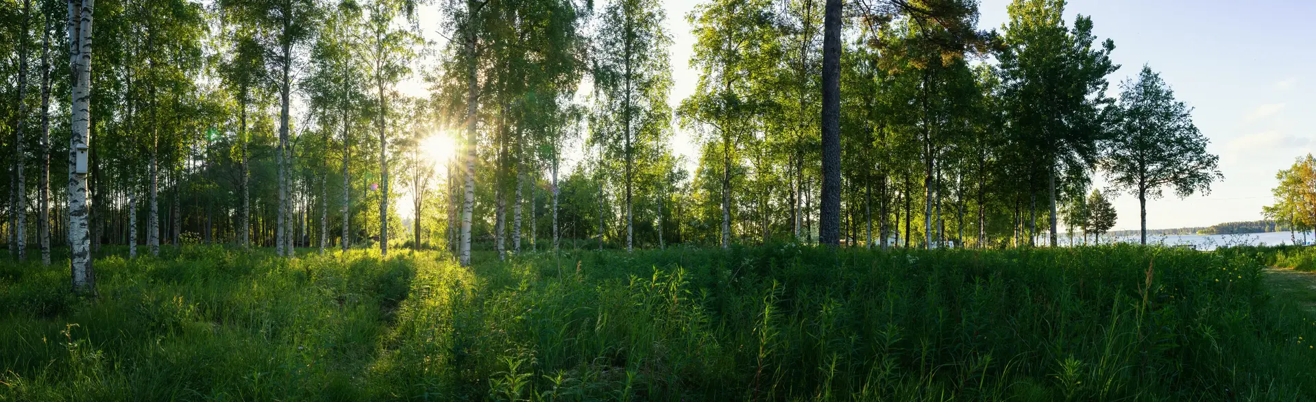 Experter på radonmätning i Haninge